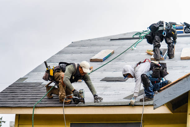 Professional Roofing technician working in Hannaford, ND